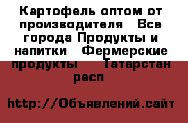 Картофель оптом от производителя - Все города Продукты и напитки » Фермерские продукты   . Татарстан респ.